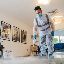 pexels-thehealthyhome-me-ar-sa-385496128-14675105 (1)